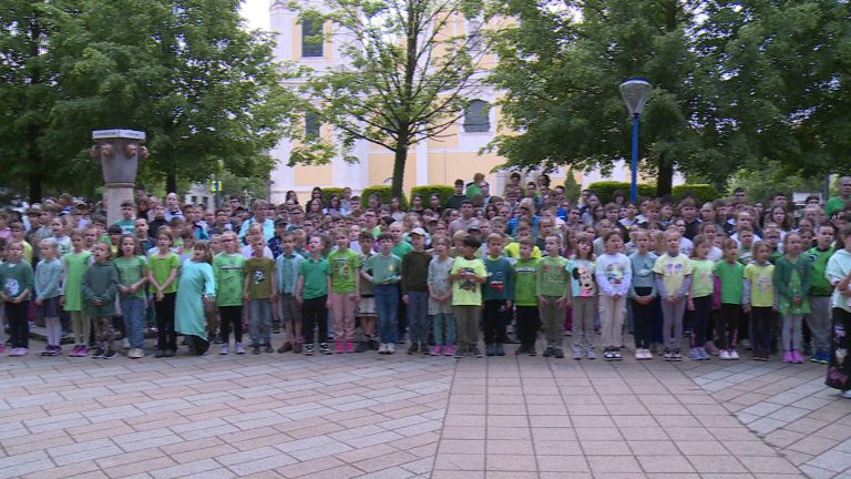 „Énekelj az erdőben”- több száz diák tartott flashmobot