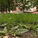 Vágatlan május – Gyöngyös is csatlakozik