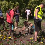 Megkezdődött a mátrafüredi park virágosítása
