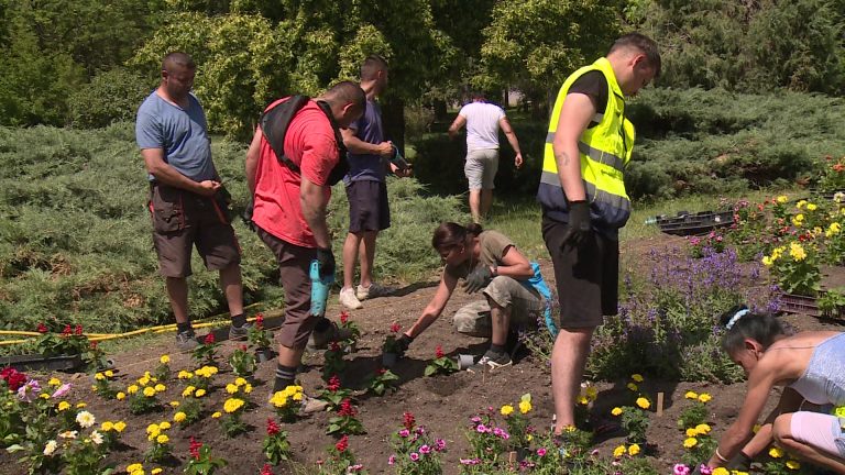 Megkezdődött a mátrafüredi park virágosítása
