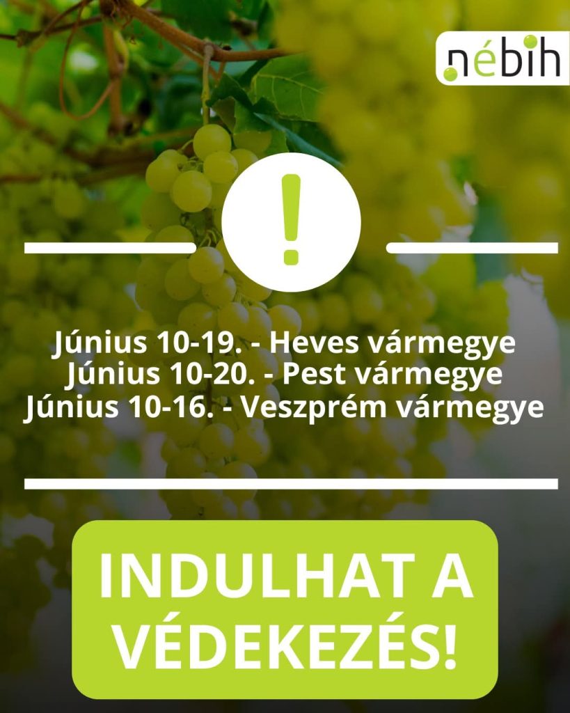forrás: NÉBIH