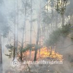 Közel 300 szabadtéri tűzhöz vonultak a tűzoltók vármegyénkben