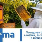 Szorgosan dolgoznak a méhek, és velük együtt a méhészek is