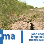 Több csapadékra lenne szükség a mezőgazdaságban