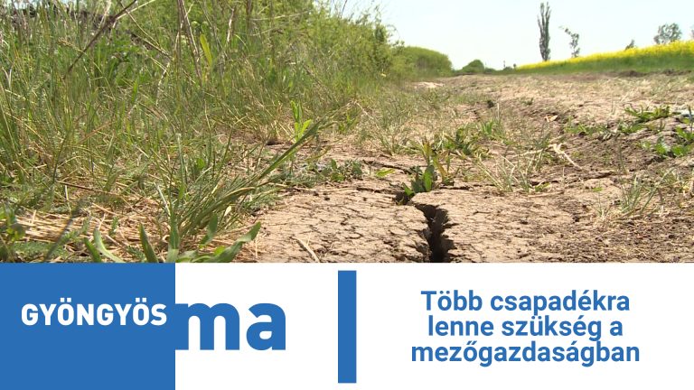 Több csapadékra lenne szükség a mezőgazdaságban