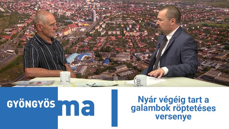 Nyár végéig tart a galambok röptetéses versenye