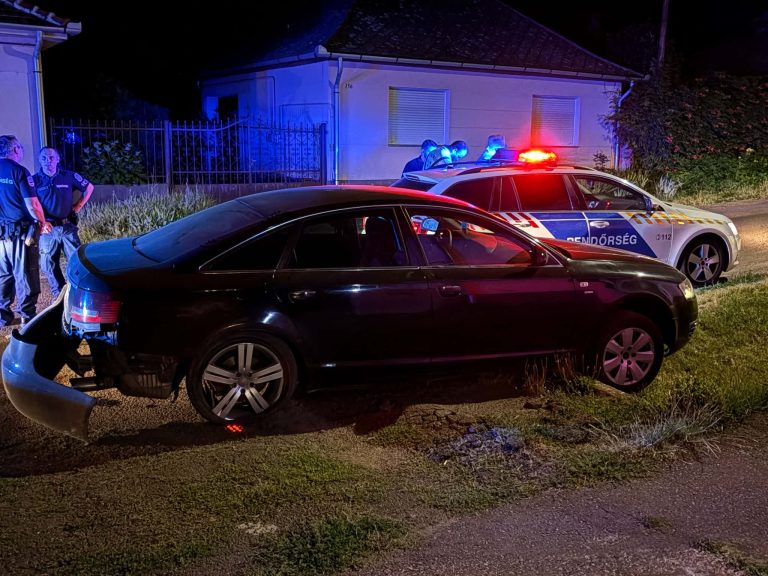 Jogsi nélkül vezetett, fának ütközött