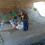 Megszaporodtak a bejelentések a közterületen alvó emberek miatt