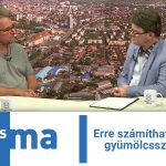 Erre számíthatunk az idei gyümölcsszezonban!