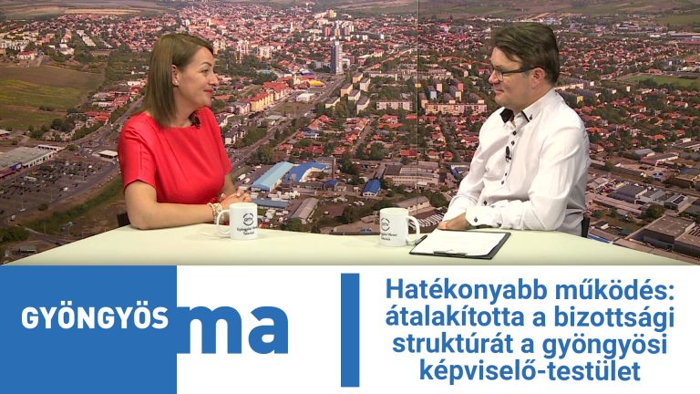 Hatékonyabb működés: átalakította a bizottsági struktúrát a gyöngyösi képviselő-testület