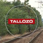 Megújul a Gyöngyös–Vámosgyörk vasútvonal – Tallózó – 2026. július 24.