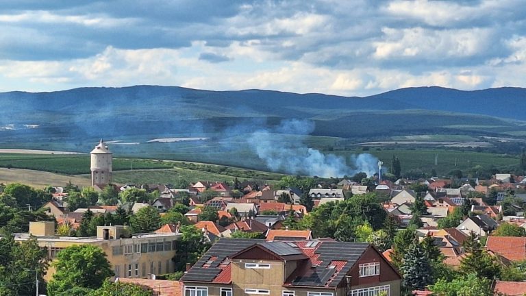 Ég a növényzet a Durandánál