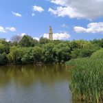 Ideiglenesen lezárták a sástói kilátót