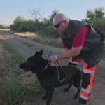 Gyöngyös mellett gyakorlatozott a Help Mentőkutyás Egyesület