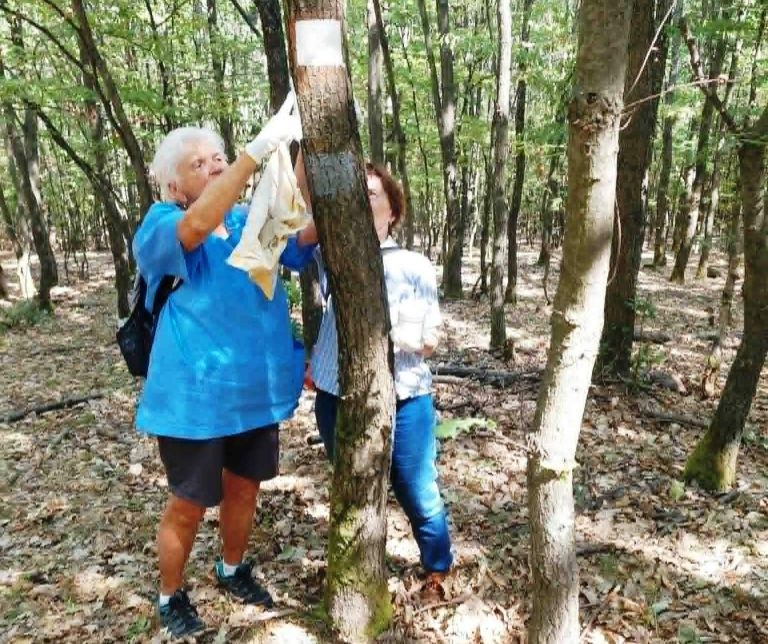 Újabb szakaszon újult meg a sárga sávos turistaút a Mátrában