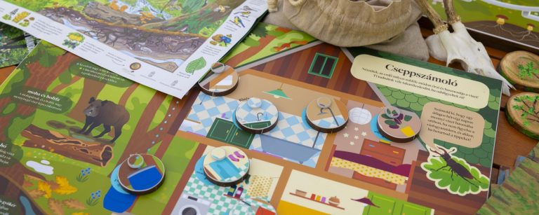 Iskolában az Erdő program – 4 nap múlva nyílik meg a regisztráció