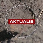 Éles lőszereket és kézigránátot találtak Gyöngyösorosziban – Aktuális 2026. 08. 11.