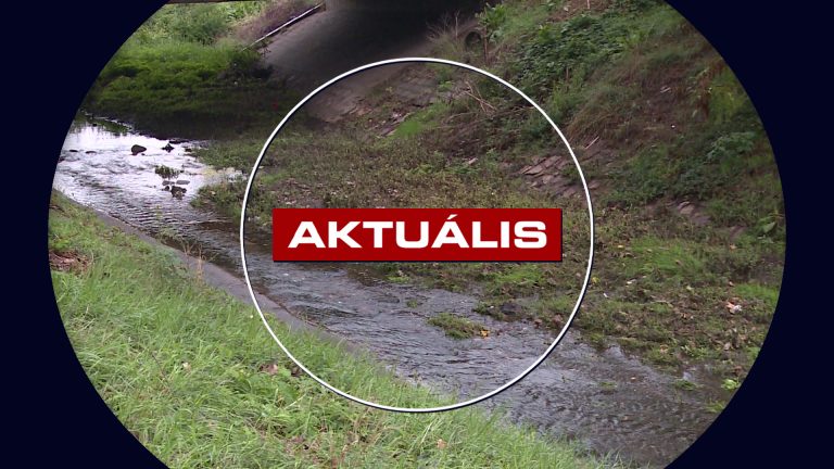 Indulhat a patakmeder kitakarítása – Aktuális 2026. 08. 17.