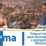 Trópusi hangulat és igazi dzsungel-forgatag a gyöngyösi Mátra Múzeumban