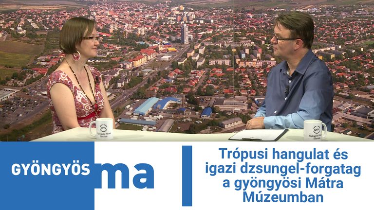 Trópusi hangulat és igazi dzsungel-forgatag a gyöngyösi Mátra Múzeumban