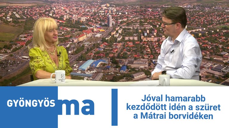Jóval hamarabb kezdődött idén a szüret a Mátrai borvidéken