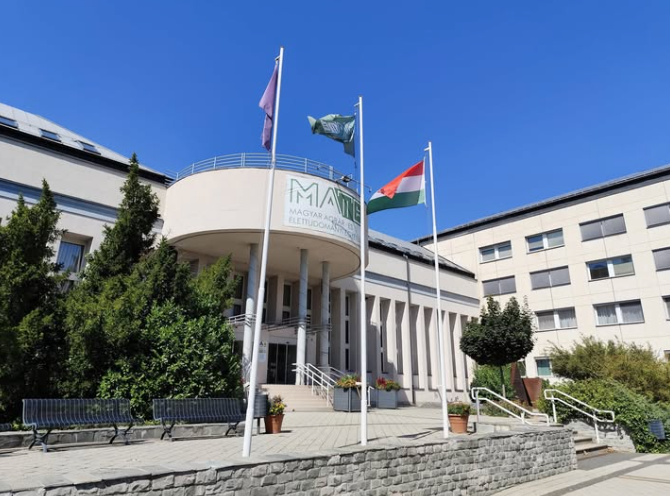 Hamarosan lezárul a pótfelvételi lehetősége