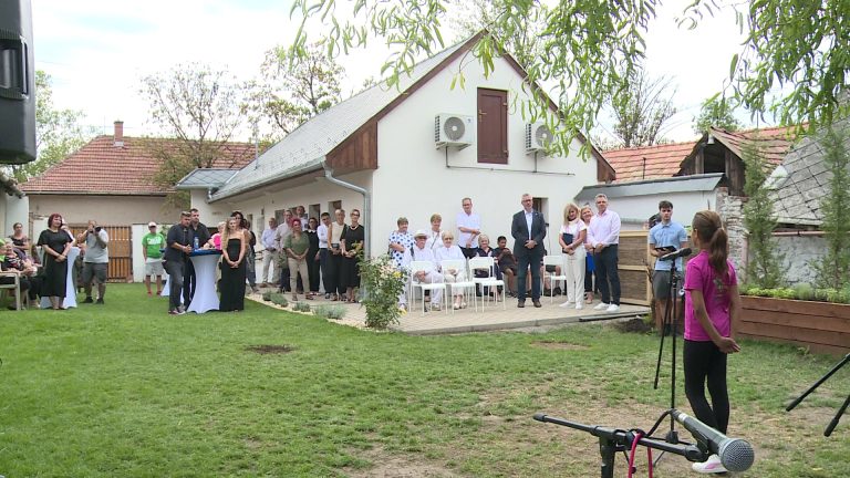 Egy éve született a Hangya-boy Tanoda