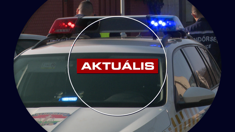 Állatkínzás miatt köröznek egy nőt – Aktuális- 2026.09.28.