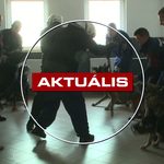 Húsz rendőrkutya gyakorlatozott a gyöngyösi sportcsarnokban – Aktuális – 2026.10.29.