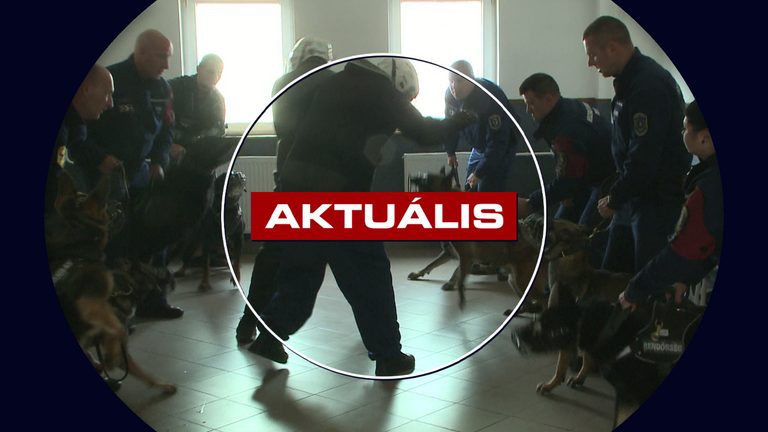 Húsz rendőrkutya gyakorlatozott a gyöngyösi sportcsarnokban – Aktuális – 2026.10.29.