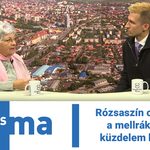 Rózsaszín október – a mellrák elleni küzdelem hónapja