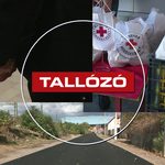 Jogerős ítélet, megújuló utca és segítség a családoknak – Tallózó – 2026.10.16.