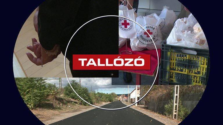 Jogerős ítélet, megújuló utca és segítség a családoknak – Tallózó – 2026.10.16.