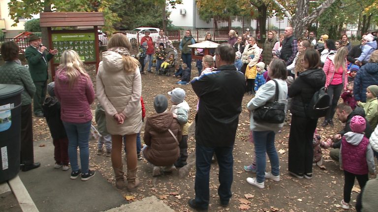 Madárbarát mintakert a Fecske Úti Tagóvodában