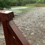 Végleg kiszárad a Sástó? – szakértő segít megválaszolni