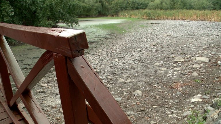 Végleg kiszárad a Sástó? – szakértő segít megválaszolni
