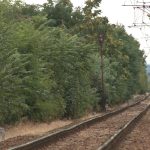 Gyorsulnak a vonatok- vége a vágányszabályozásnak