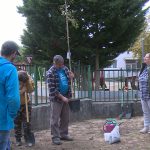 Őshonos kőrisfát ültettek az Arany János Általános Iskola udvarán